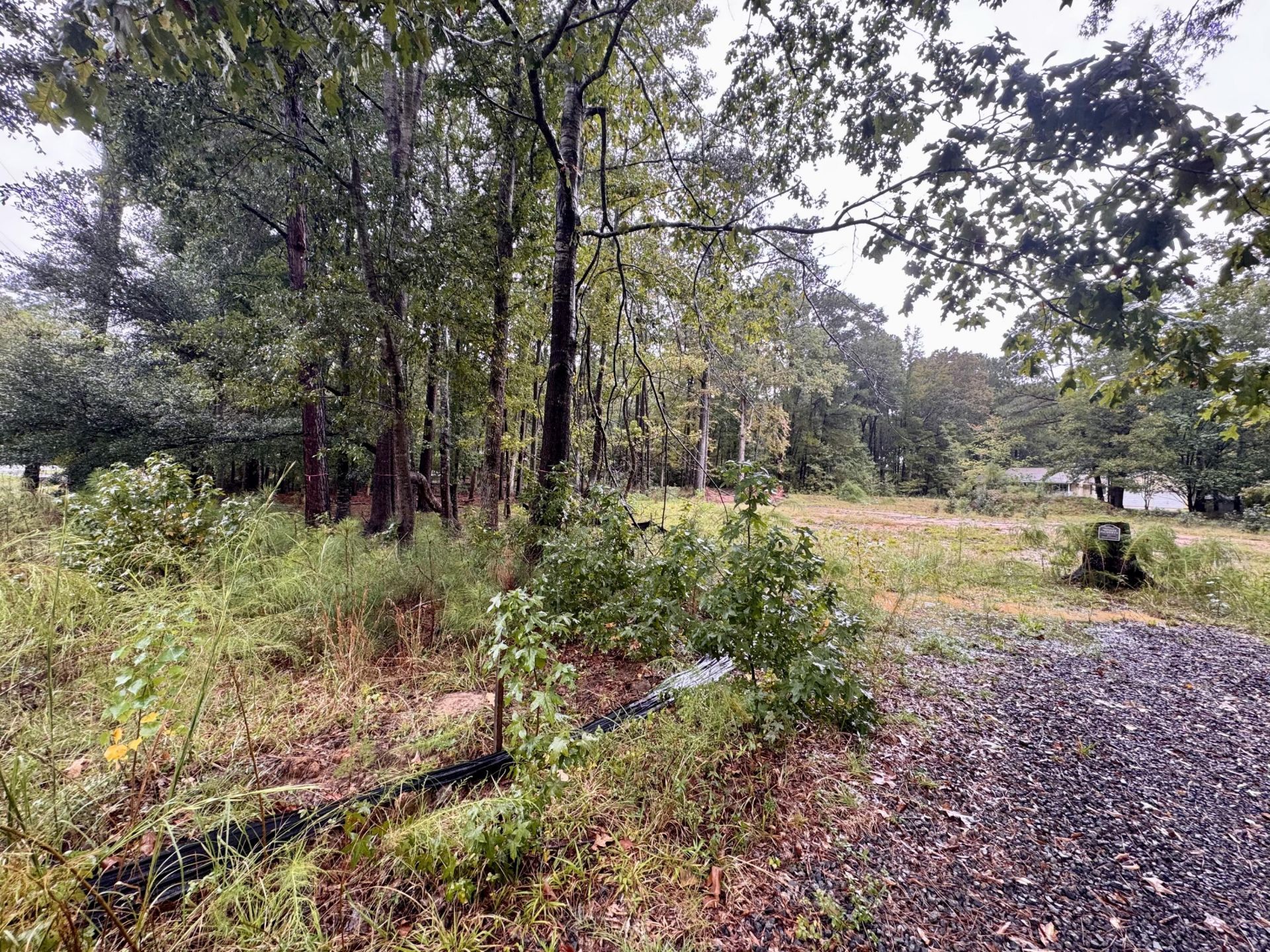 300 Summerset Lane Photo 5