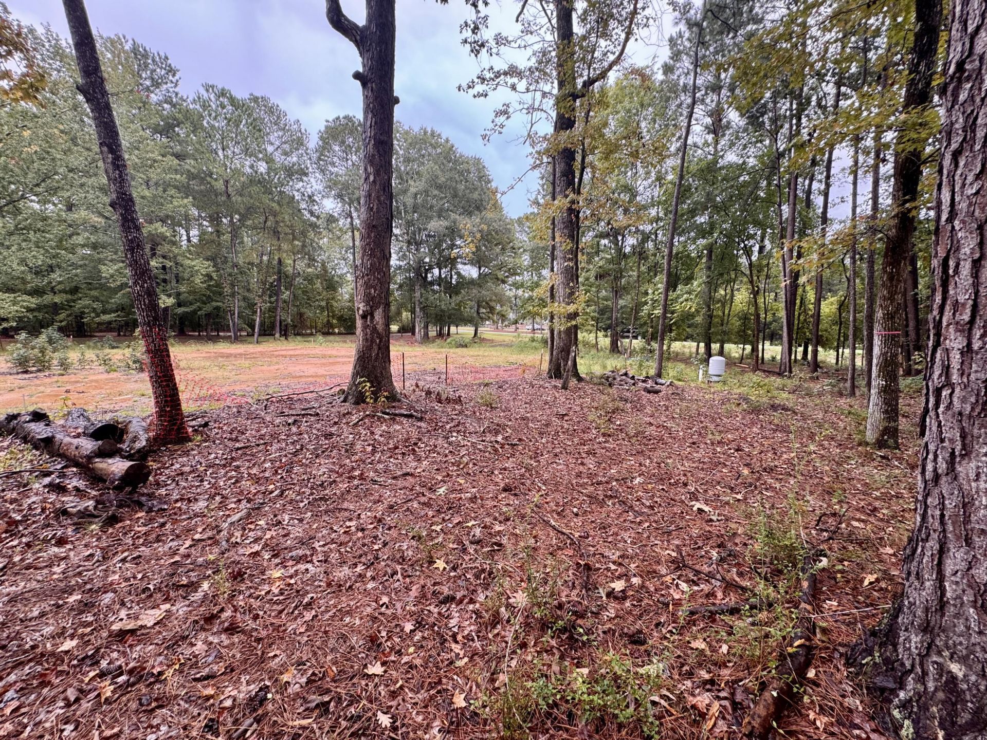 300 Summerset Lane Photo 6