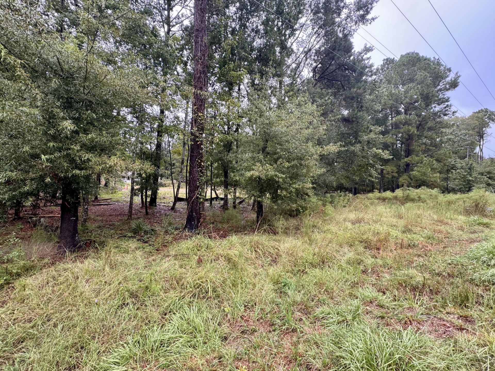 300 Summerset Lane Photo 8