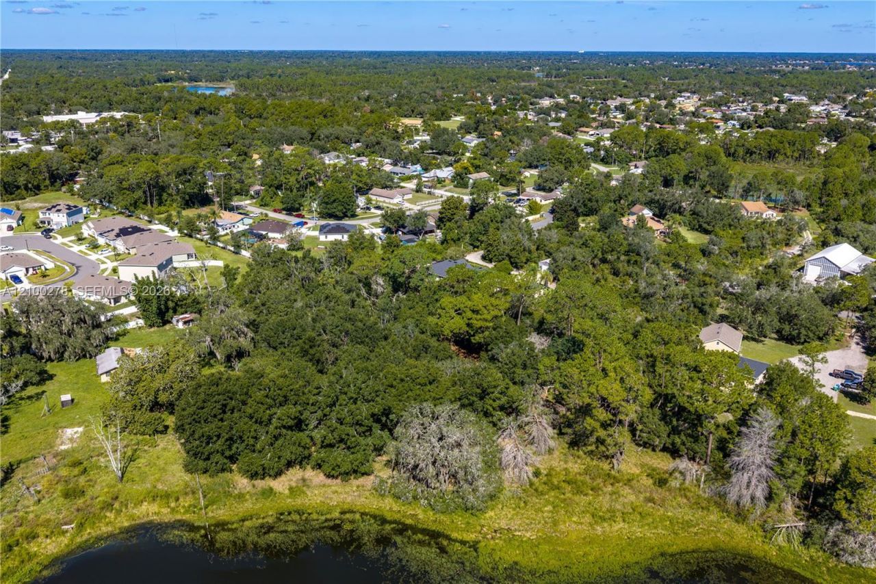 N/a Doyle Rd , Osteen, FL 32764 Photo