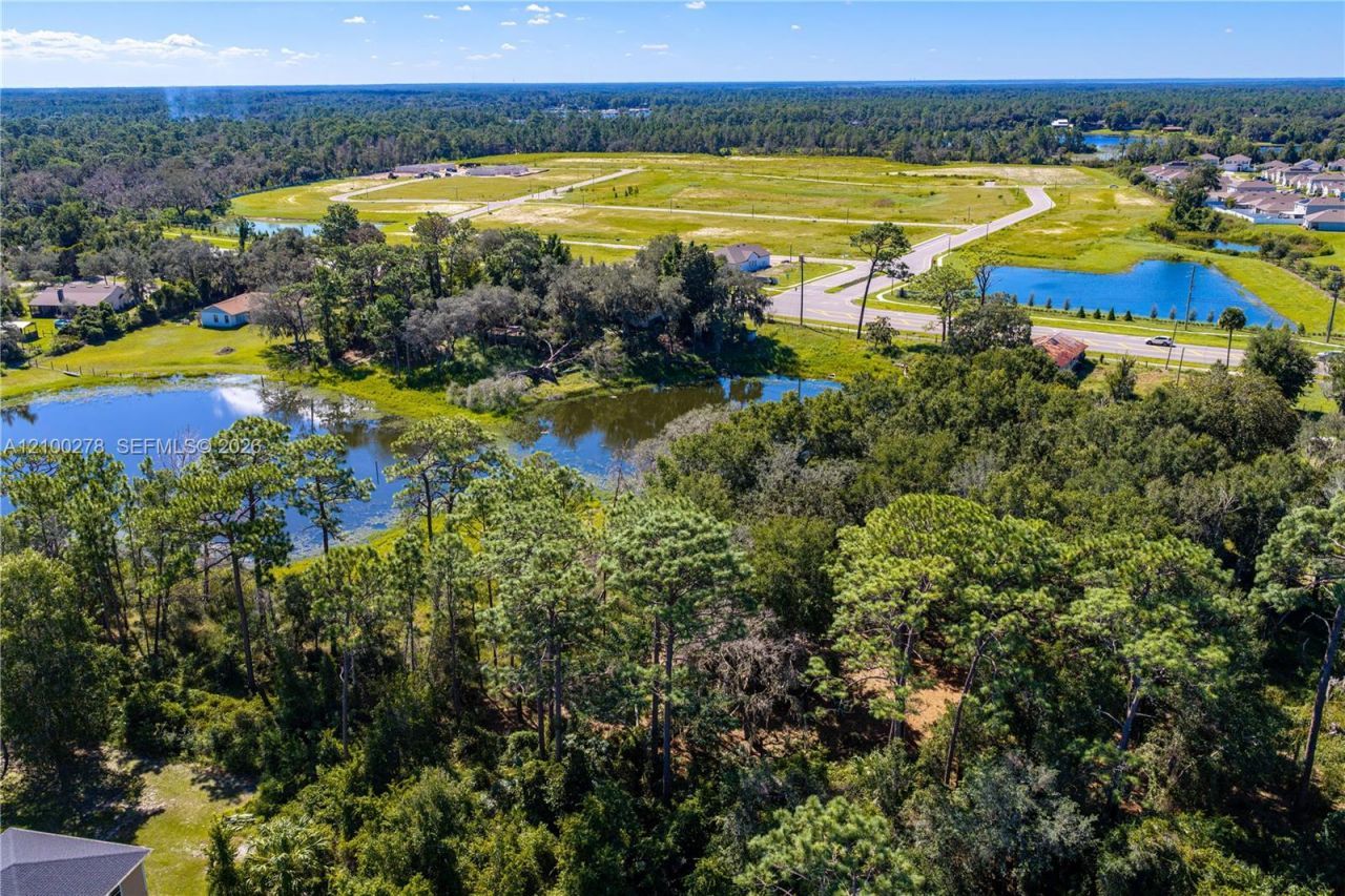 N/a Doyle Rd , Osteen, FL 32764 Photo