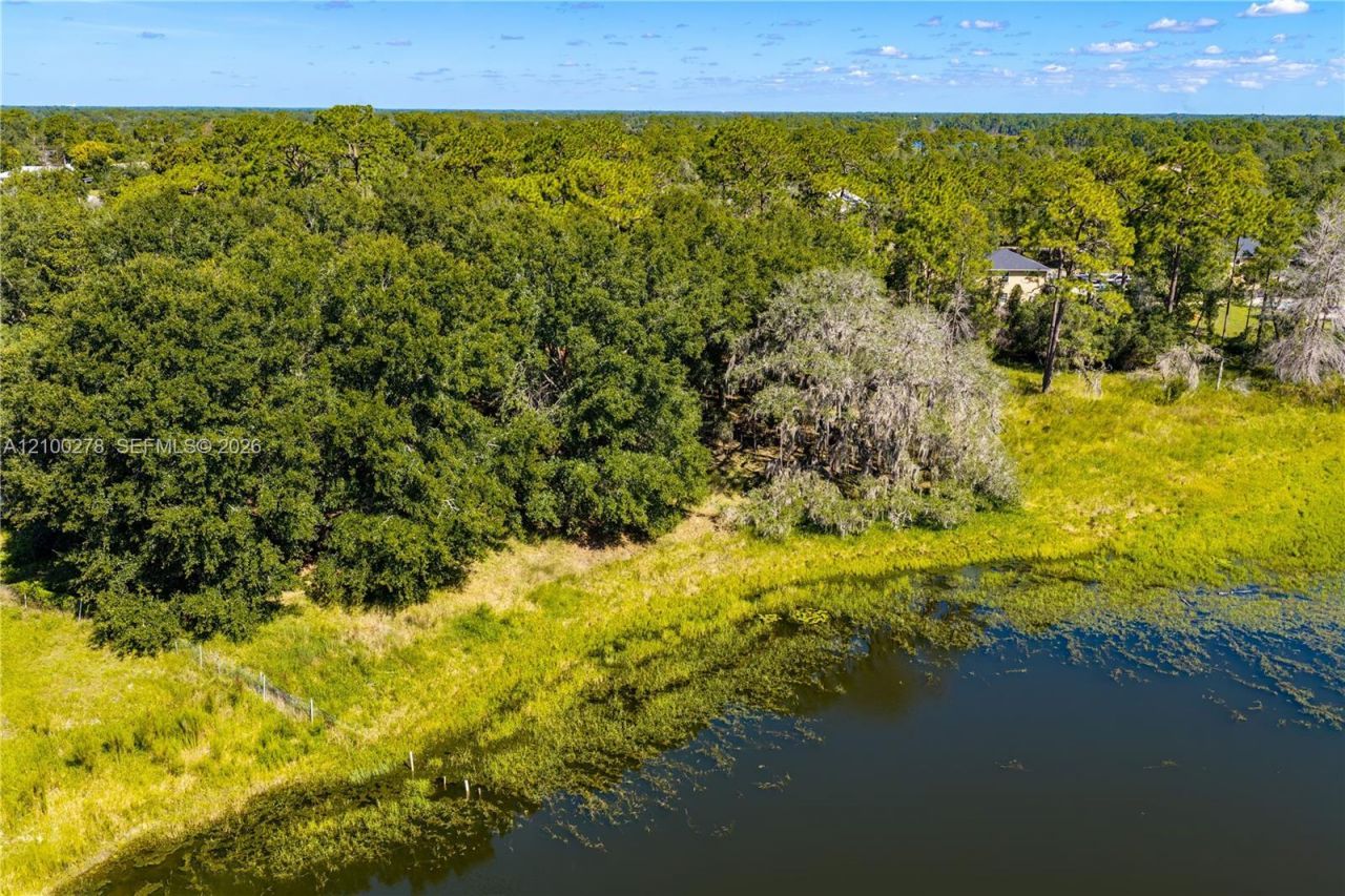 N/a Doyle Rd , Osteen, FL 32764 Photo