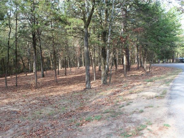 008 197, New Blaine, AR 72851