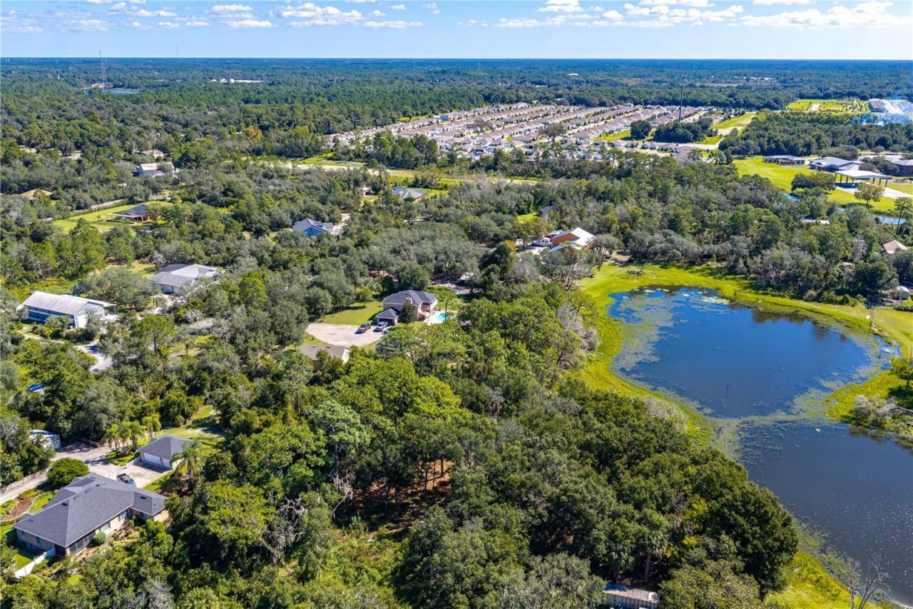 N/a Doyle Rd, Osteen, FL 32764 Photo
