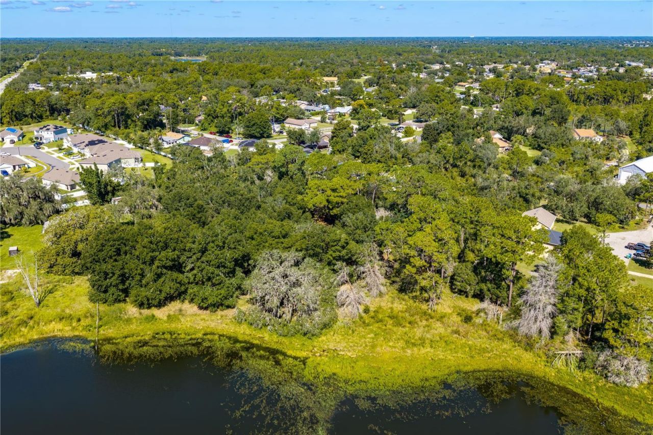 N/a Doyle Rd, Osteen, FL 32764 Photo