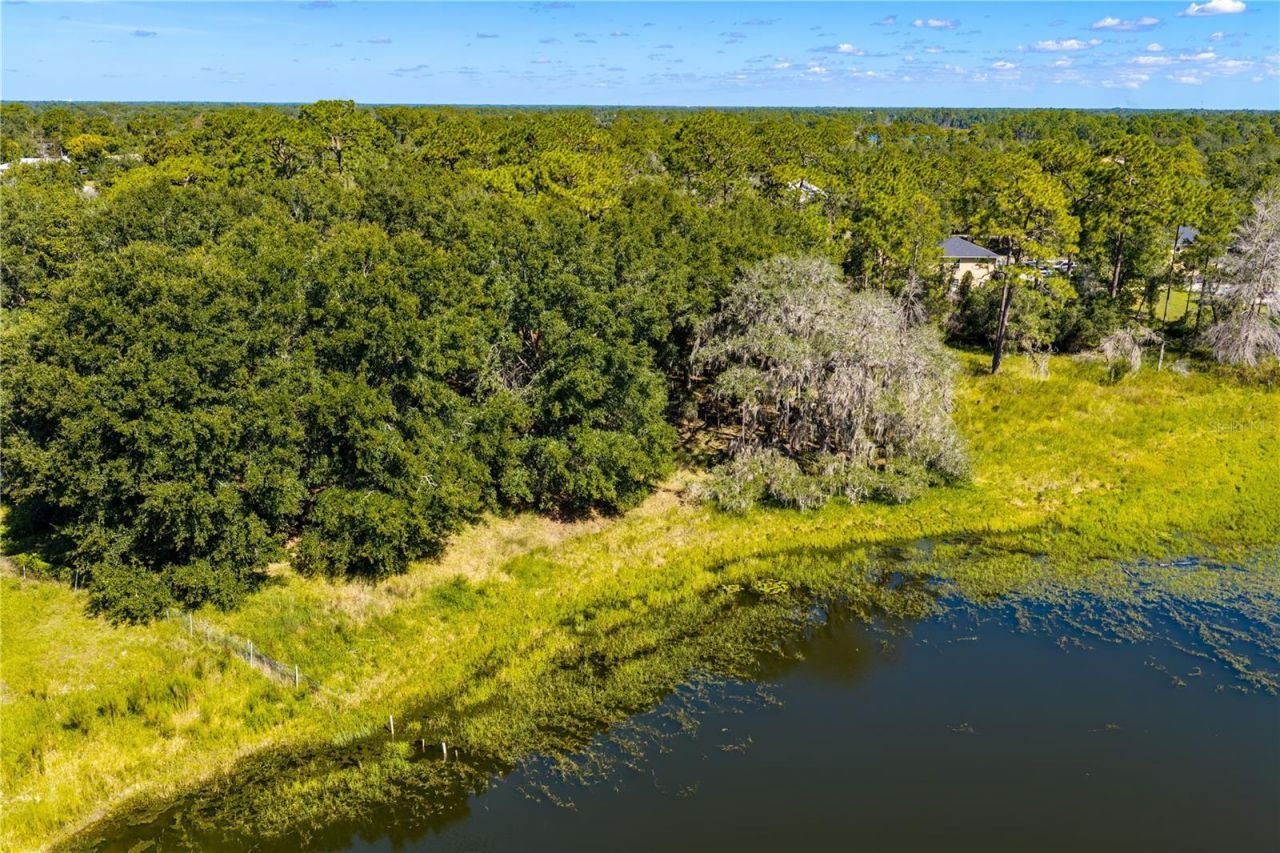 N/a Doyle Rd, Osteen, FL 32764 Photo