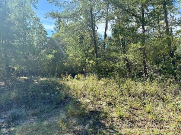 4419 W MALALUKA CIRCLE, CITRUS SPRINGS, FL 34433