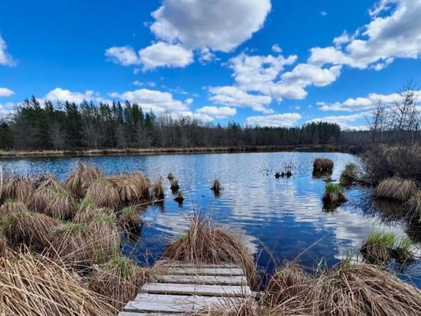 9524 E Bergin Springs Road, Solon Springs, WI 54873