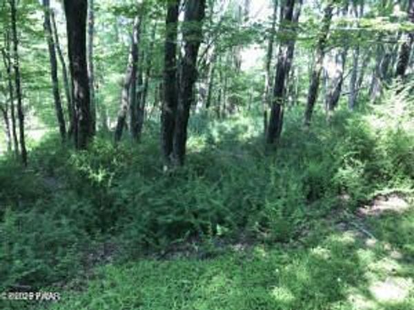111 Koch Road , Tafton, PA 18464