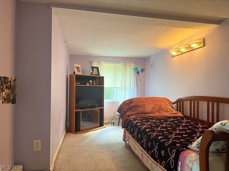 449 N Broadway, Geneva, OH 44041 Photo 17