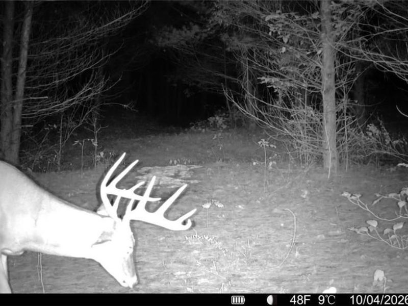 Township Rd 329, Corning, OH 43730 Photo 2