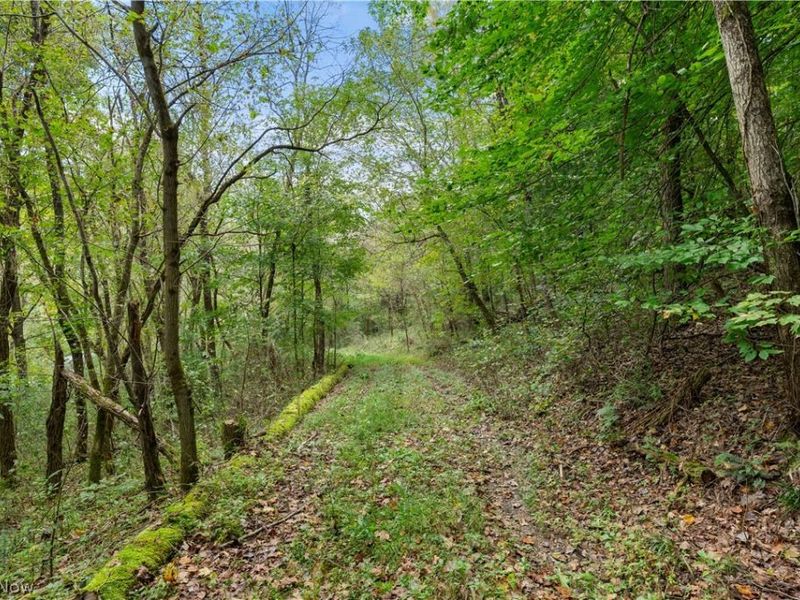 Township Rd 329, Corning, OH 43730 Photo 25