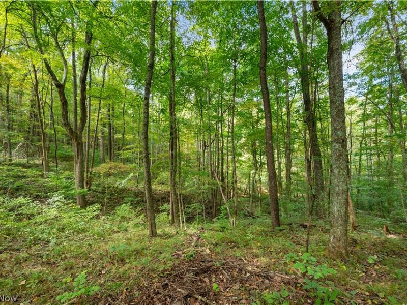 Township Rd 329, Corning, OH 43730 Photo 30