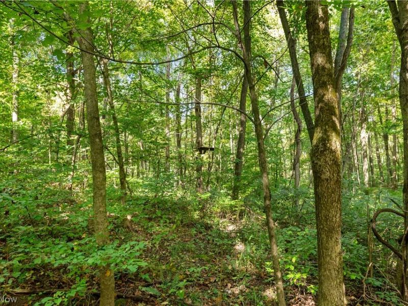 Township Rd 329, Corning, OH 43730 Photo 31