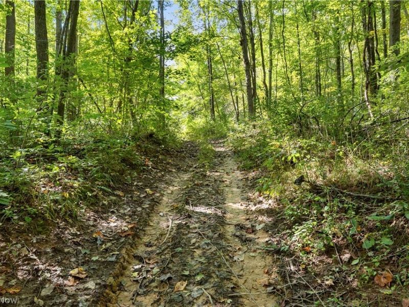 Township Rd 329, Corning, OH 43730 Photo 32
