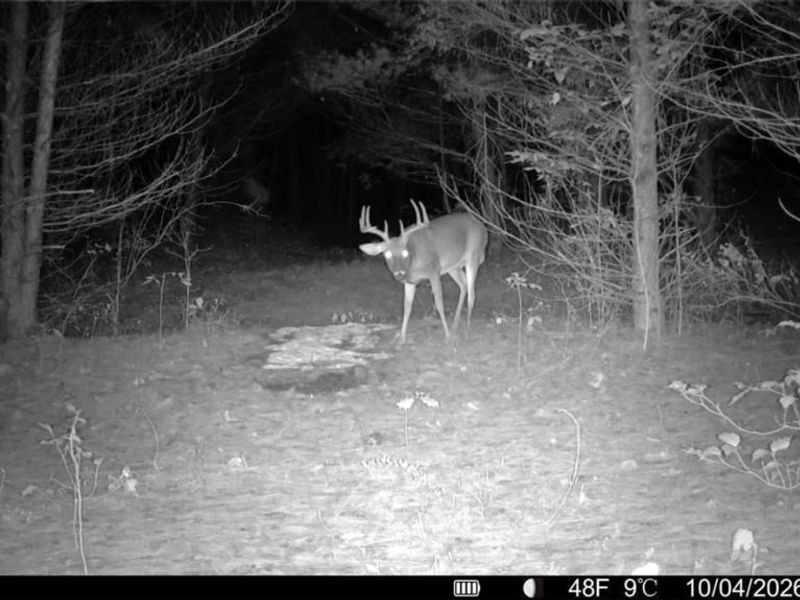 Township Rd 329, Corning, OH 43730 Photo 39