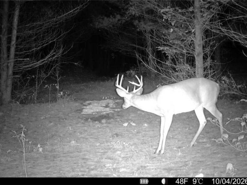 Township Rd 329, Corning, OH 43730 Photo 4