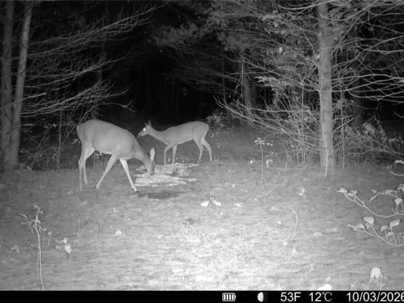 Township Rd 329, Corning, OH 43730 Photo 40