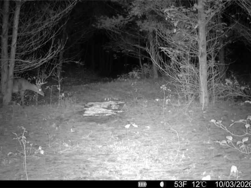 Township Rd 329, Corning, OH 43730 Photo 41