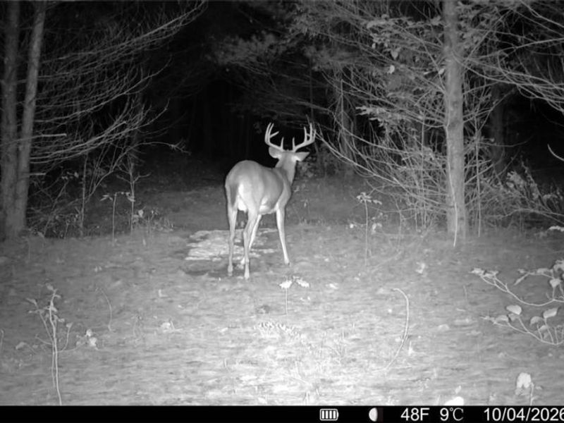 Township Rd 329, Corning, OH 43730 Photo 5