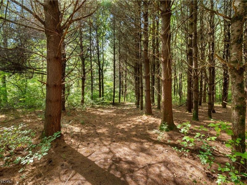Township Rd 329, Corning, OH 43730 Photo 6
