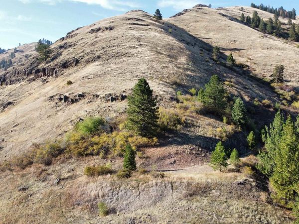TBD Big Canyon Road, White Bird, ID 83554