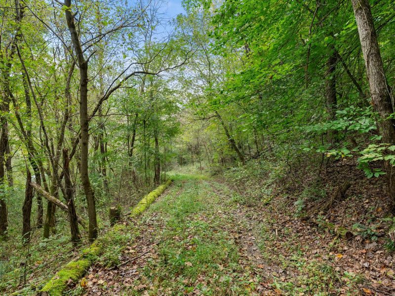0 Township Rd 329, Corning, OH 43730 Photo 26