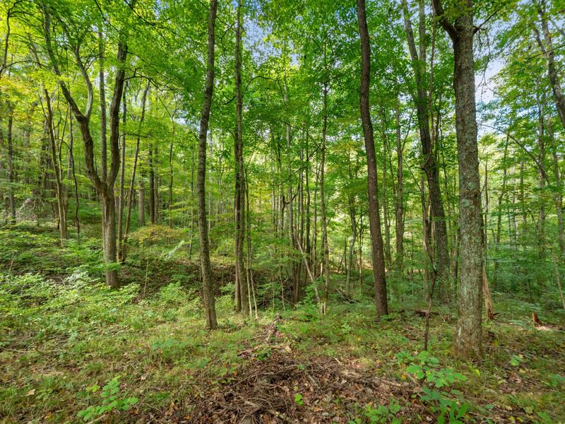 0 Township Rd 329, Corning, OH 43730 Photo 31
