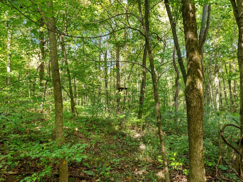0 Township Rd 329, Corning, OH 43730 Photo 32