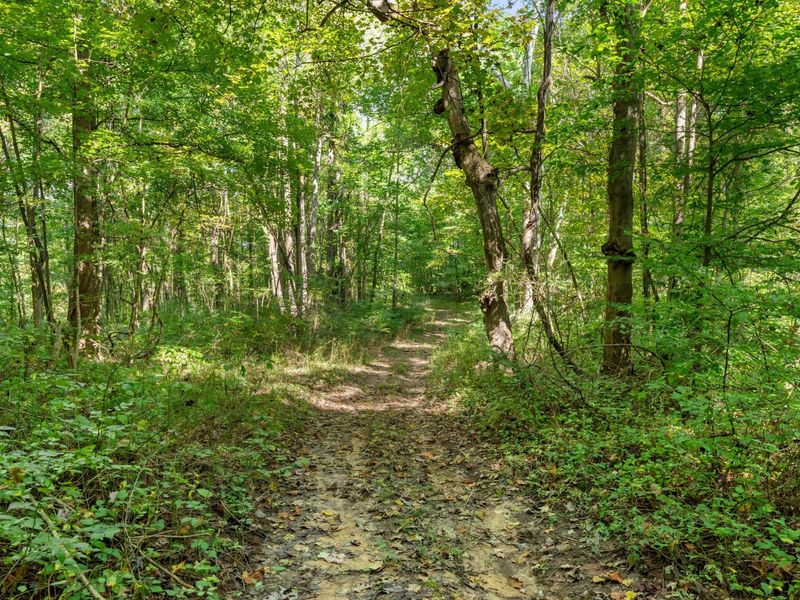 0 Township Rd 329, Corning, OH 43730 Photo 34