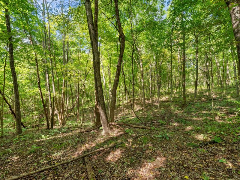 0 Township Rd 329, Corning, OH 43730 Photo 40