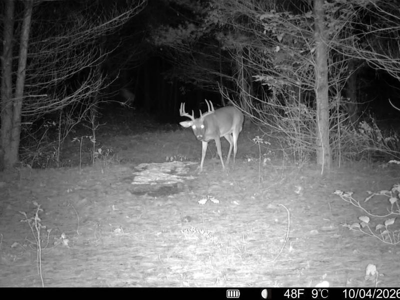 0 Township Rd 329, Corning, OH 43730 Photo 44