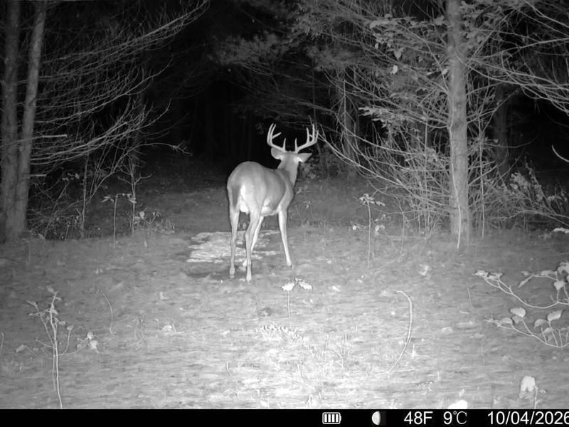 0 Township Rd 329, Corning, OH 43730 Photo 5