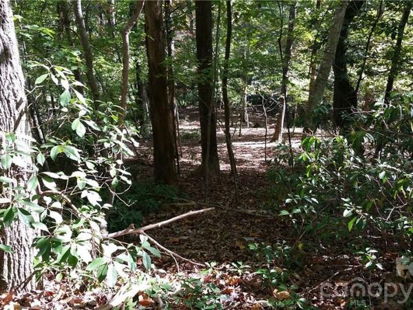 0 Grandview Drive , Lake Lure, NC 28746