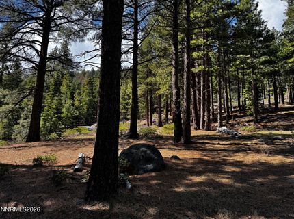 237 E Jeffrey Pine Road, Reno, NV 89511 Photo