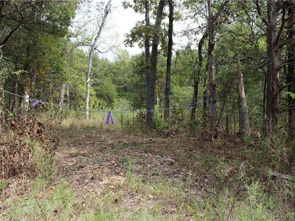 TBD Cr-2322 , Beaver, AR 72631