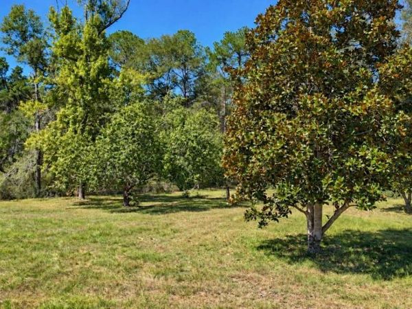 0 Hwy 280, Reidsville, GA 30453