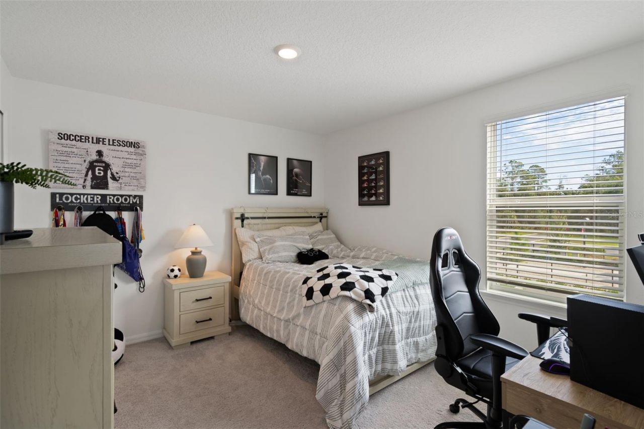 6582 Porch Light Drive , New Port Richey, FL 34655 Photo