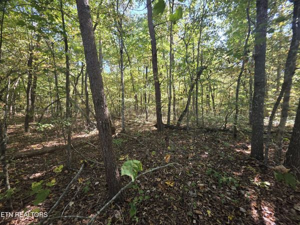 L6 Cumberland Lakes Drive, Monterey, TN 38574