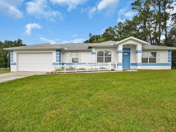 19566 NW 123RD COURT, MICANOPY, FL 32667