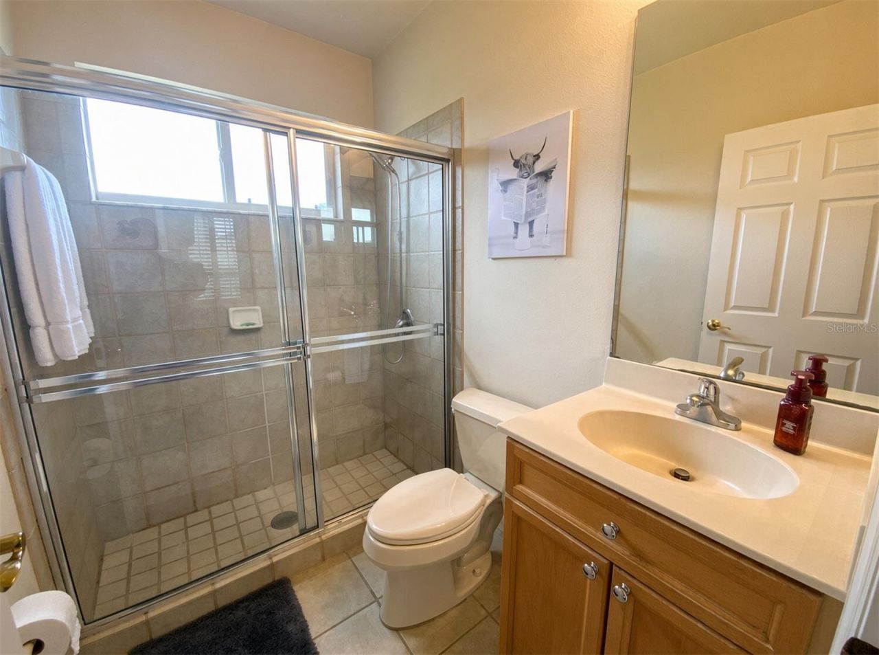 10528 Gooseberry Court , Trinity, FL 34655 Photo
