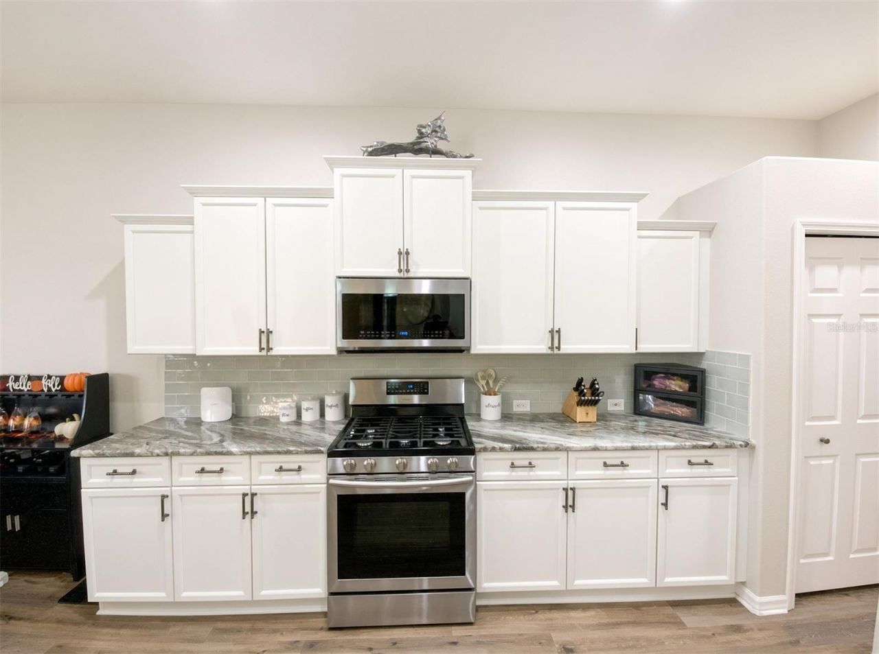 10528 Gooseberry Court , Trinity, FL 34655 Photo