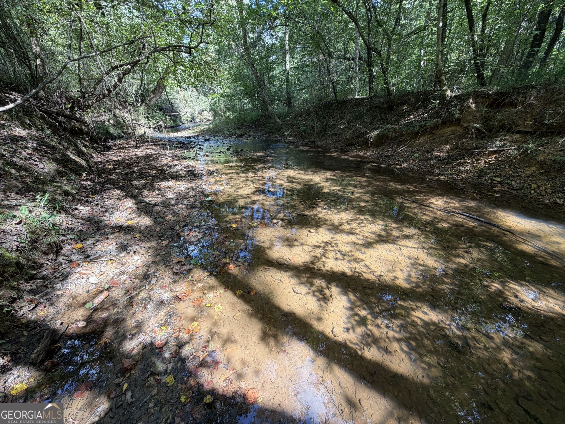 0 Old Tennessee Road, Lot #1, Franklin, GA 30217 Main Photo