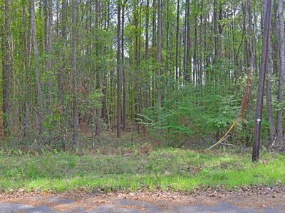 0 Ridgelake(Lot 29) Circle, Saint Matthews, SC 29135