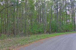 0 Ridgelake(lot 29) Circle photo 4