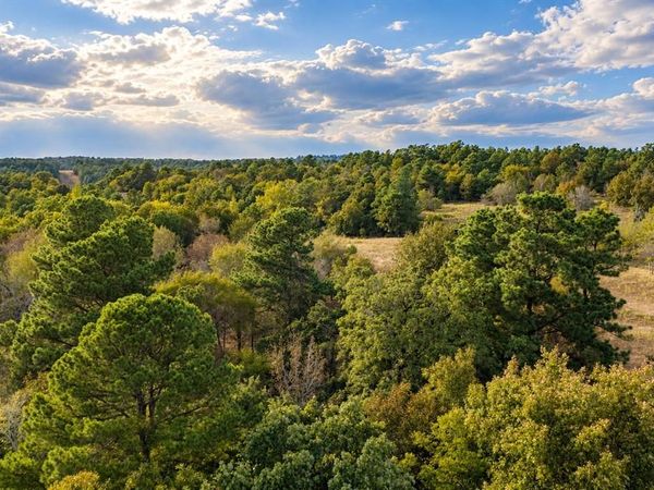 00 Off of County Road 448, Palestine, TX 75803