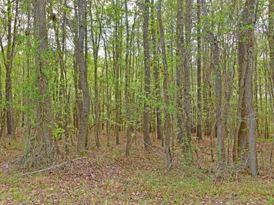 0 Ridgelake(Lot 35) Circle, Saint Matthews, SC 29135