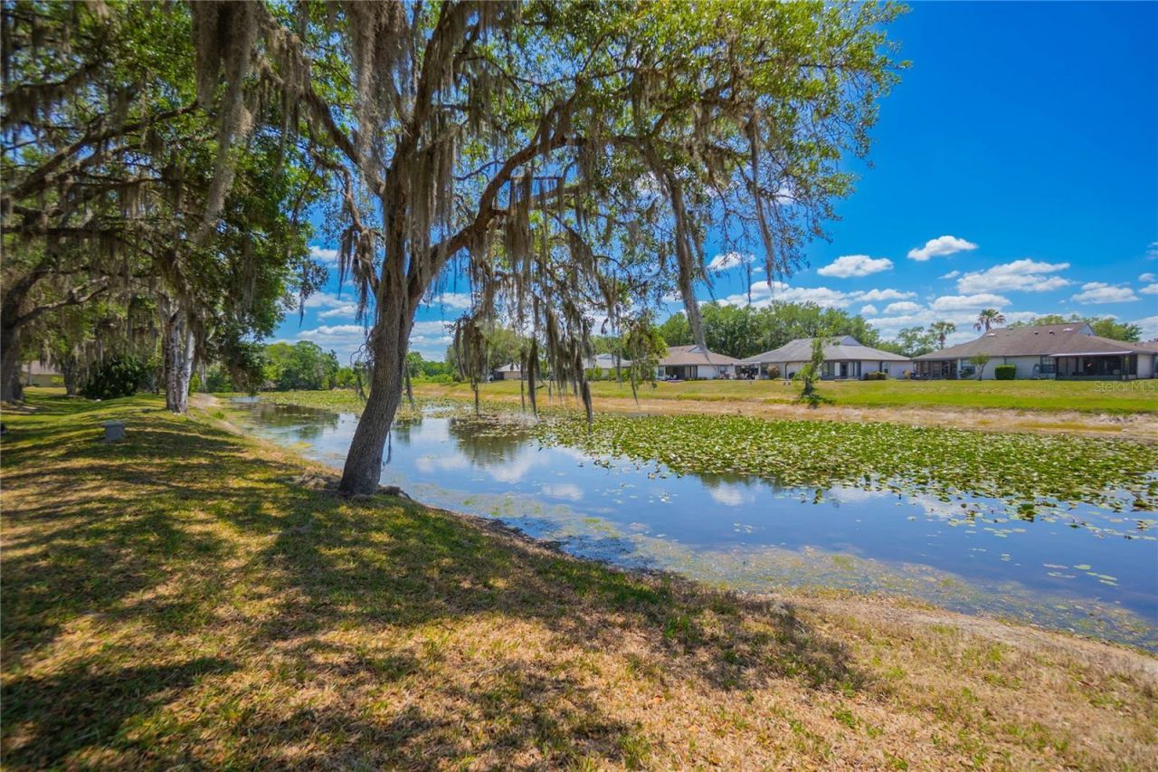 127 N Golf Harbor Path , Inverness, FL 34450 Photo