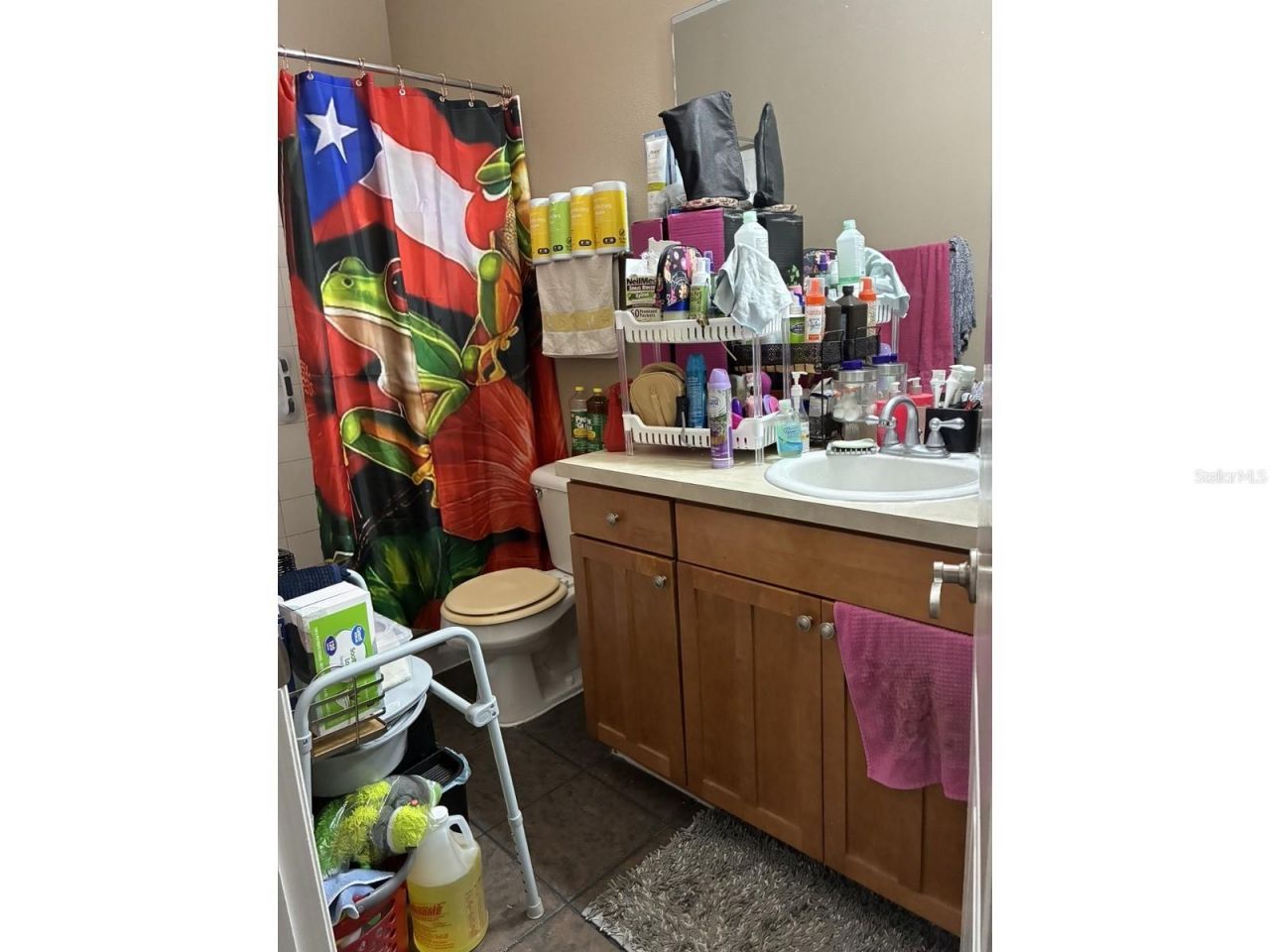 5866 Fishhawk Ridge Dr, Lithia, FL 33547 Photo