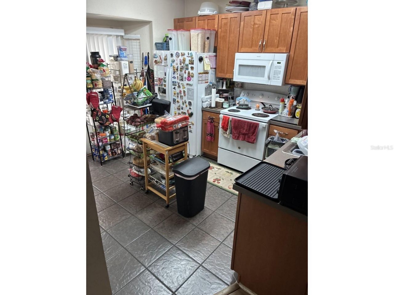 5866 Fishhawk Ridge Dr, Lithia, FL 33547 Photo